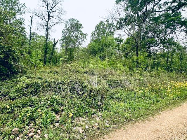Land for sale in Woodville, Mississippi