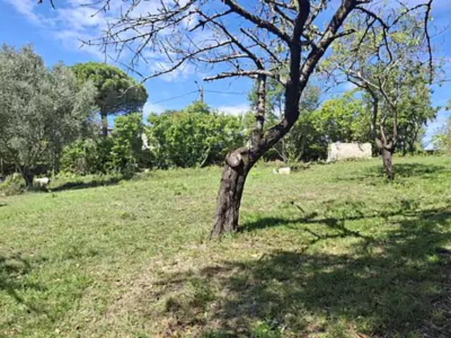 Terrain vente à Toulouse, Péchabou