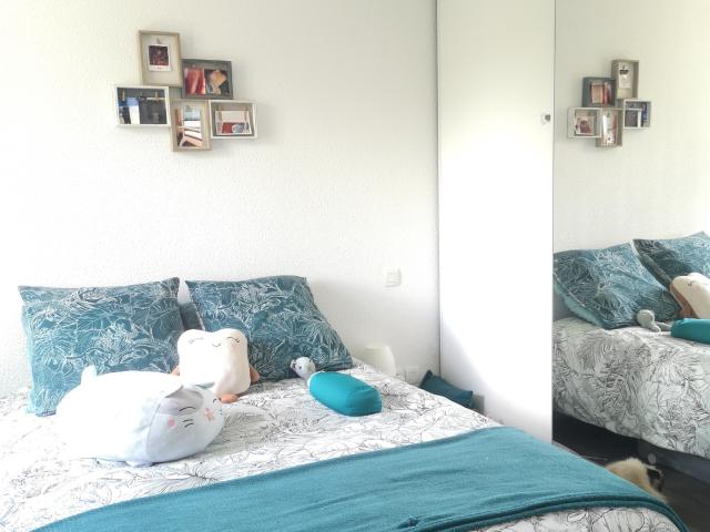Appartement location à Toulouse, Pechbonnieu