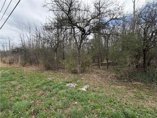 Land for sale in Kirkville, New York