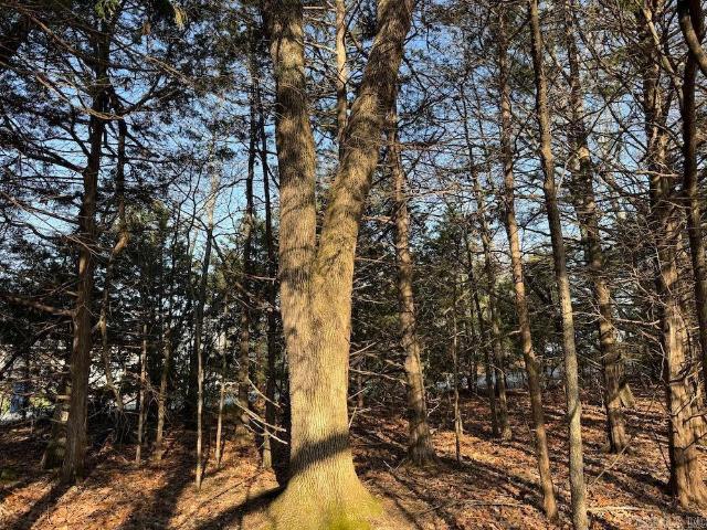 Land for sale in Ark
