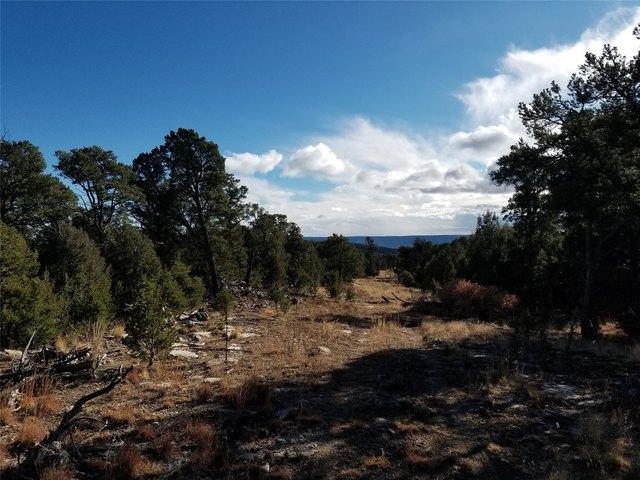 Land for sale in Pecos, San Miguel County
