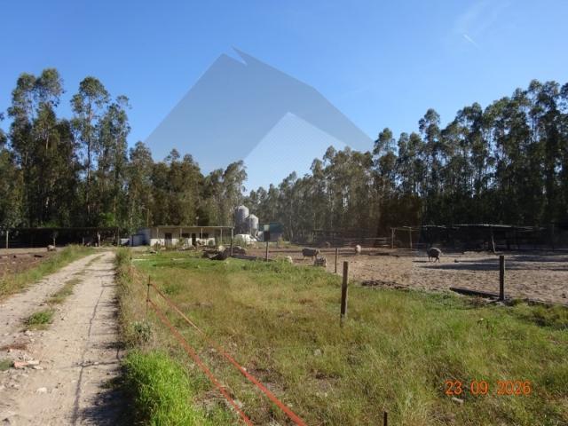 Quinta venda em Monte Arcado, Cantanhede
