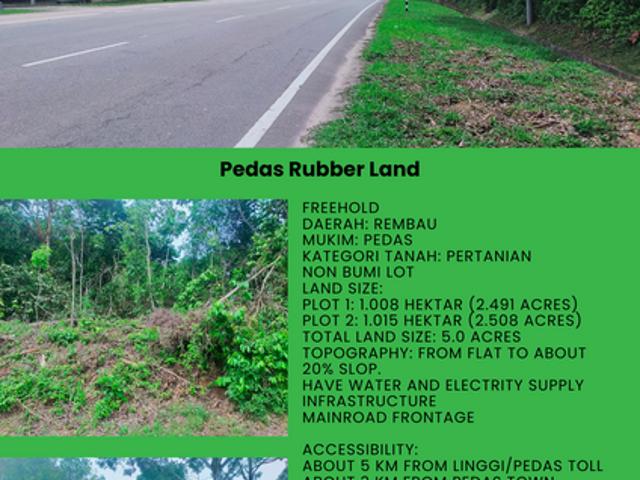 Shop for sale in Chembong, Negeri Sembilan
