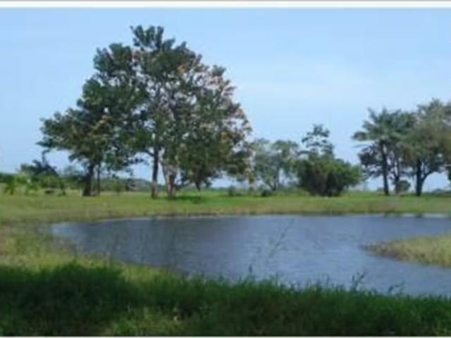 Terreno venta en Pedasí, Los Santos