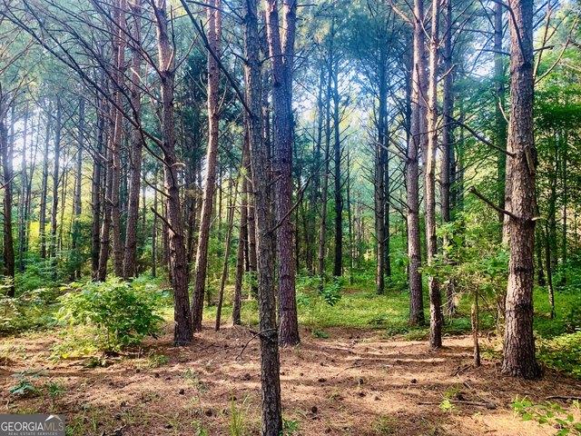 Land for sale in Concord, Georgia