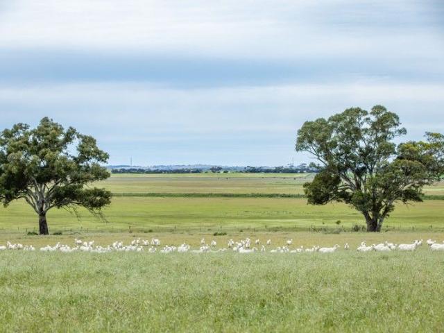 Acreage for sale in Lochaber, South Australia