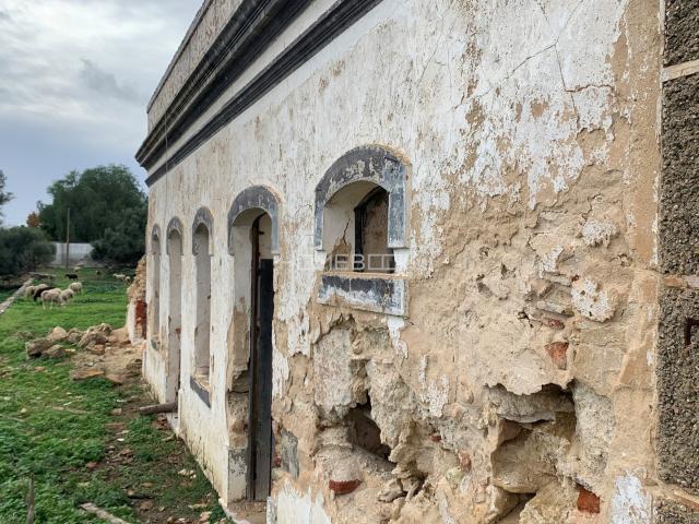 Quinta venda em Pedras d'el Rei, Tavira