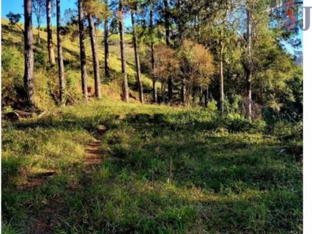 Sítio e chácara venda em Região Imediata de Guaratinguetá, Região Metropolitana do Vale do Paraíba e Litoral Norte