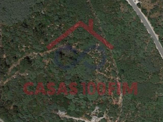 Terreno venda em Santarém