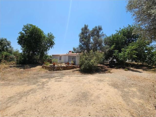 Quinta venda em Silves, Faro