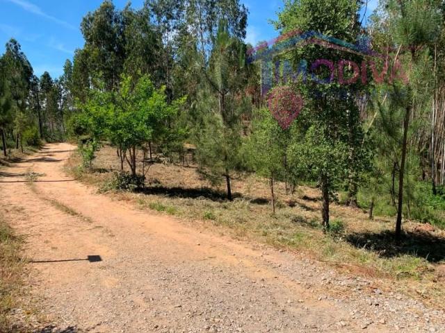Terreno venda em Pedrógão Grande