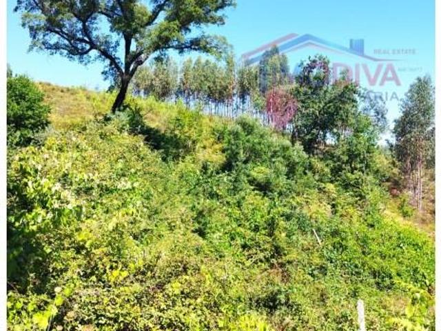 Terreno venda em Pedrógão Grande, Leiria