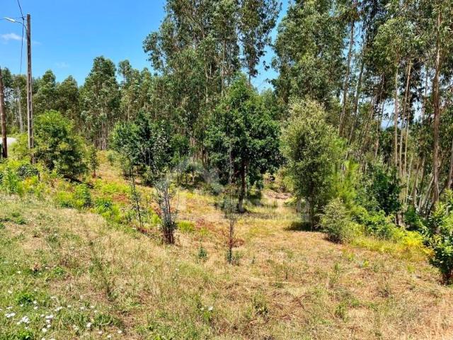 Terreno venda em Pedrógão Grande, Leiria