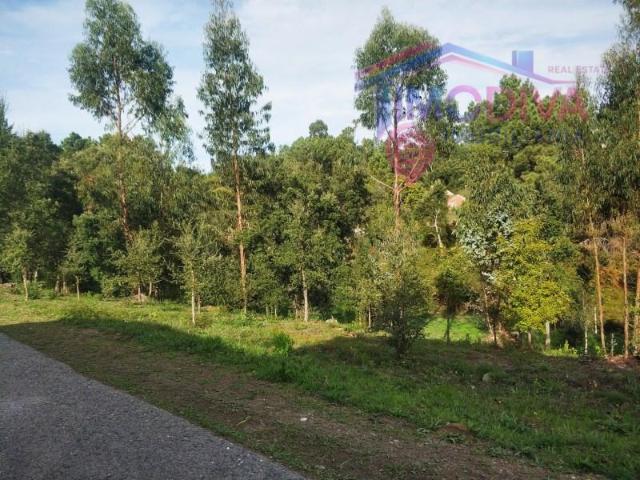 Terreno venda em Pedrógão Grande, Leiria