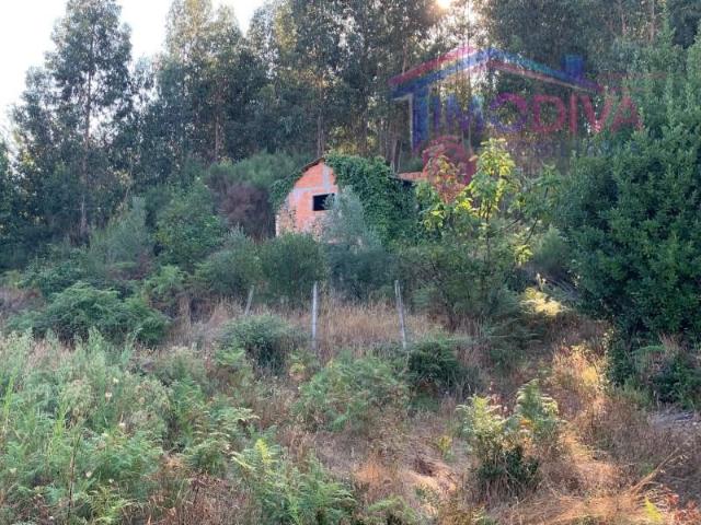 Casa venda em Pedrógão Grande, Leiria