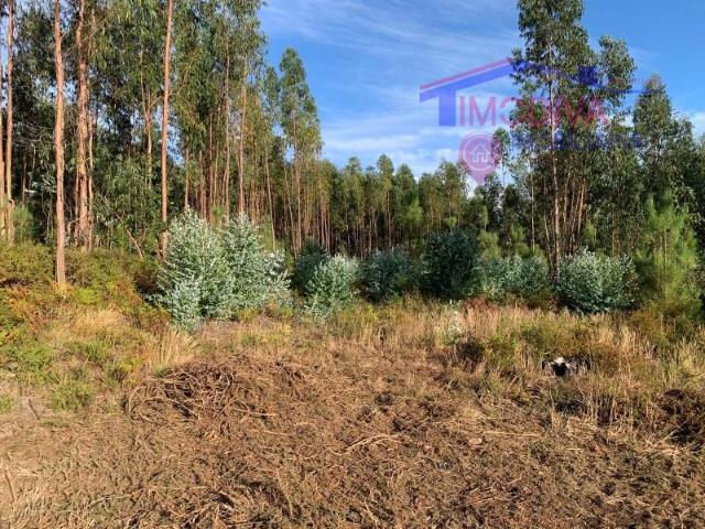 Terreno venda em Pedrógão Grande, Leiria