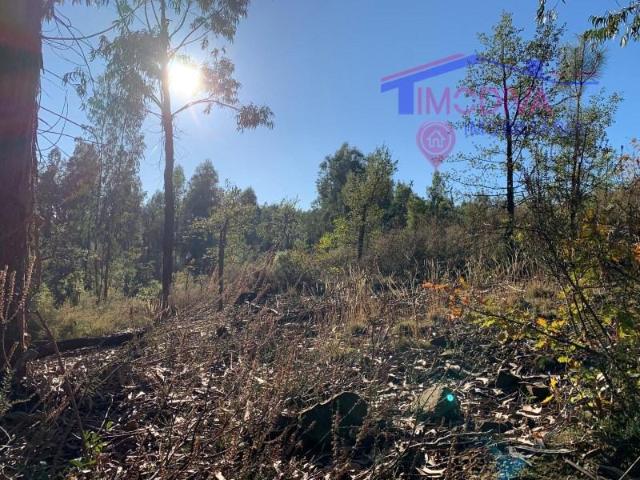 Terreno venda em Pedrógão Grande, Leiria
