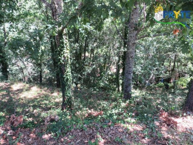 Terreno venda em Pedrógão Grande, Leiria