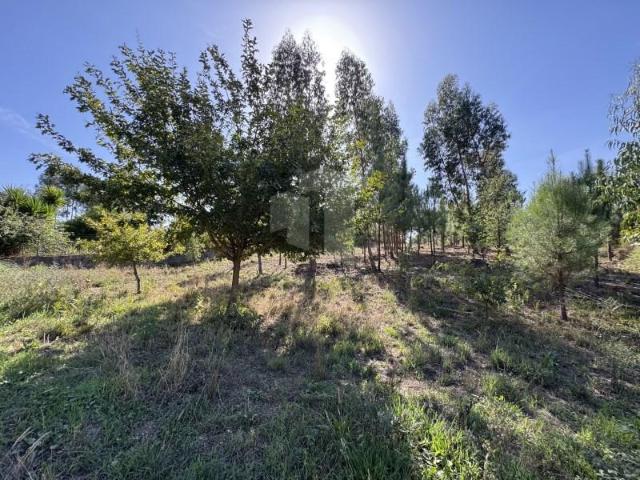 Terreno venda em Pedrógão Grande, Leiria