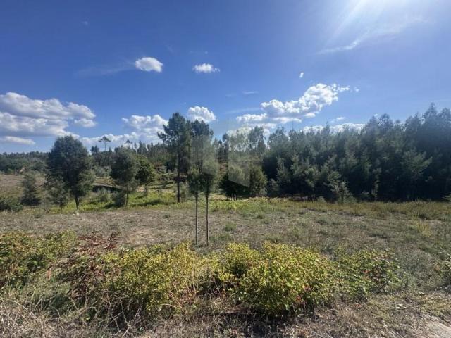 Terreno venda em Pedrógão Grande, Leiria