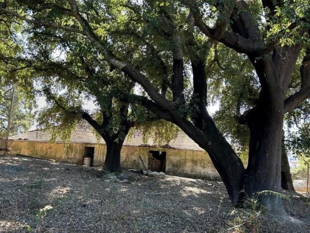 Terreno venda em Pedrógão Grande