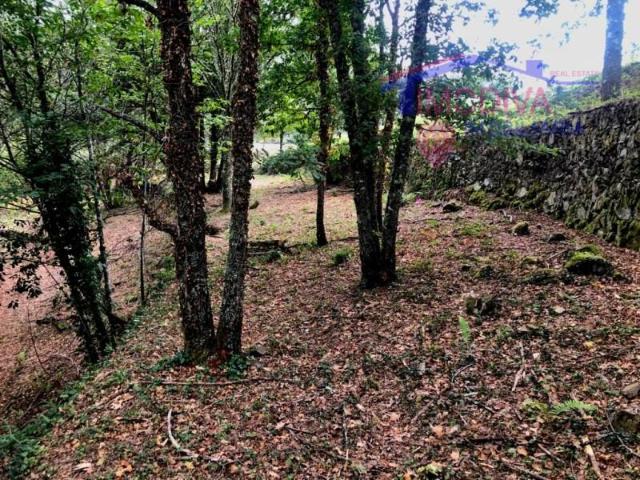 Terreno venda em Pedrógão Grande, Leiria