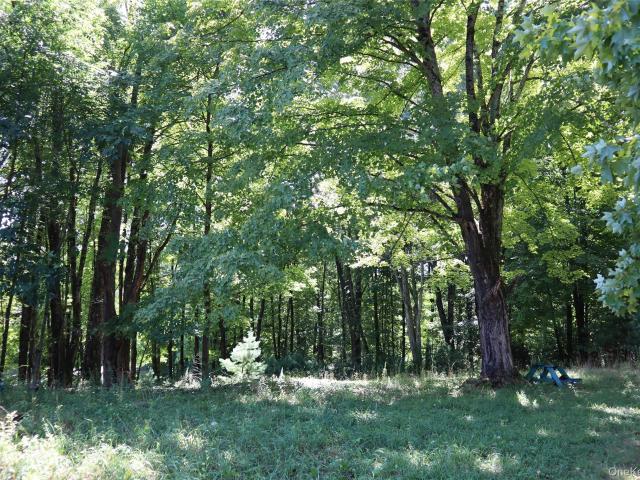 Land for sale in Wurtsboro, New York