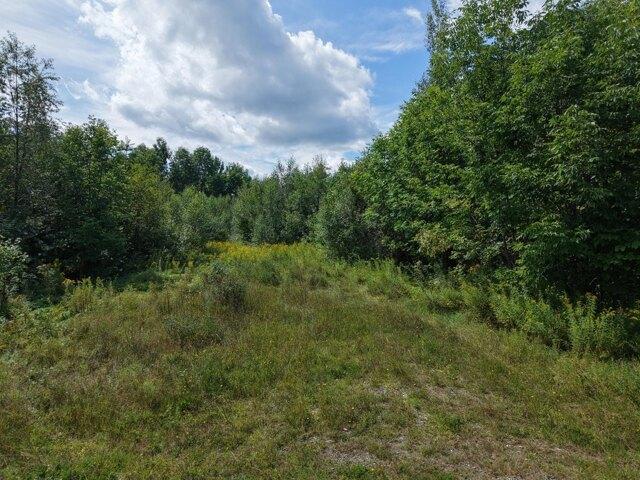Land for sale in Selden, Weston