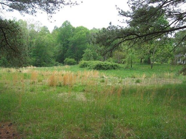 Land for sale in Farmville Land for sale in Farmville