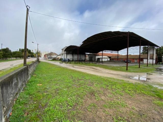 Armazém venda em Pegões-Gare, Montijo