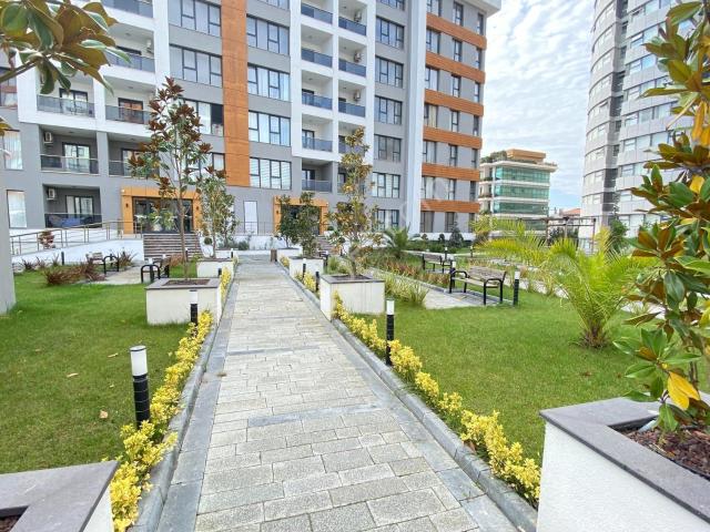 Avcilar, İstanbul içerisinde kiralık mülk