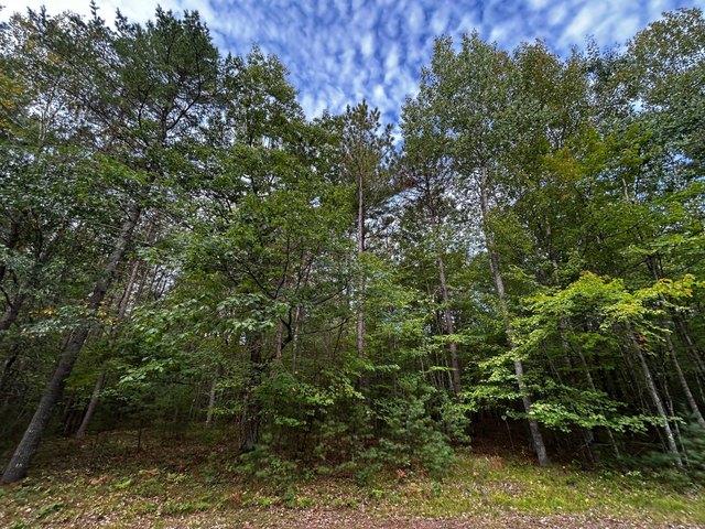 Land for sale in Minocqua, Wisconsin