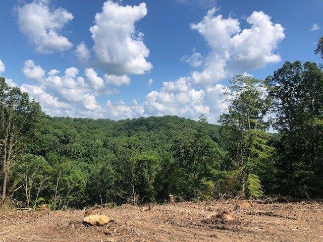 Land for sale in Pegram, Tennessee