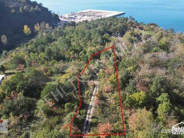 Alapli, Zonguldak içerisinde satılık mülk