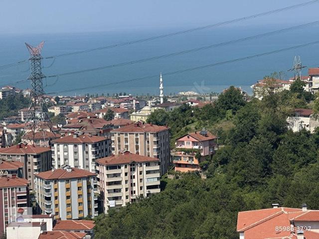 Alapli, Zonguldak içerisinde satılık mülk