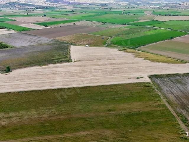 Tire, İzmir içerisinde satılık Arsa