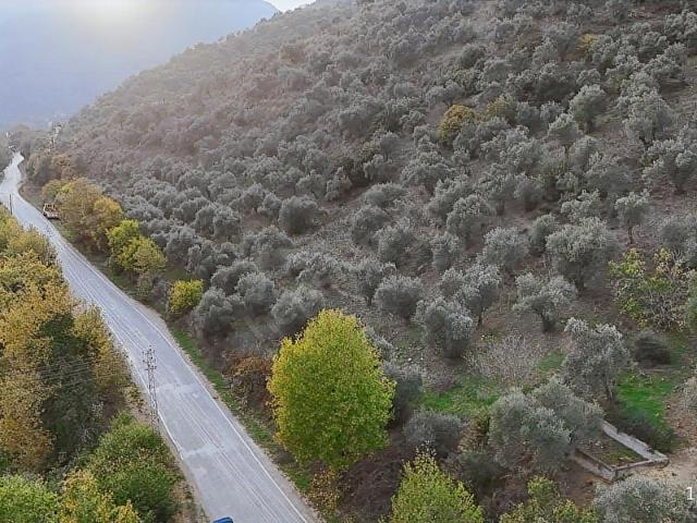Tire, İzmir içerisinde satılık mülk