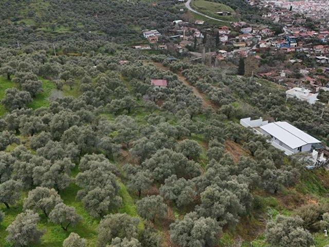 Tire, İzmir içerisinde satılık mülk