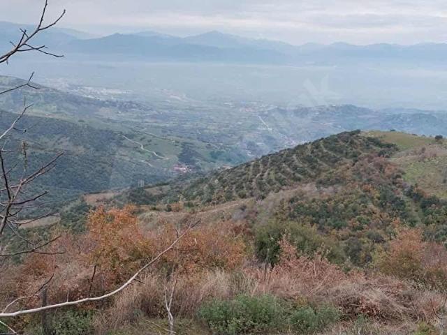 Tire, İzmir içerisinde satılık mülk