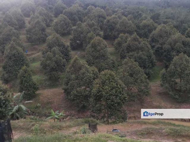 Shop for sale in Kuala Lipis, Pahang