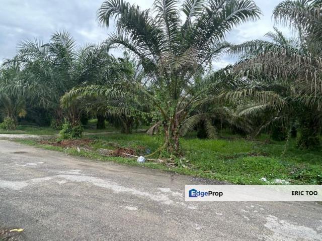 Shop for sale in Perak, Simpang Dua