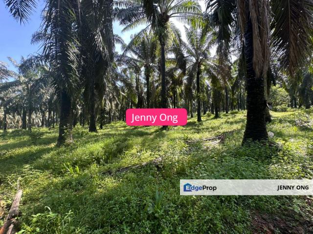 Shop for rent in Jitra, Kedah