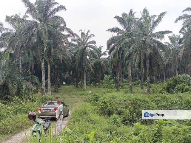 Shop for sale in Perak