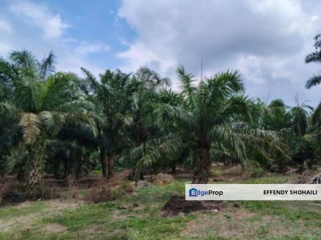 Shop for sale in Muar, Johor