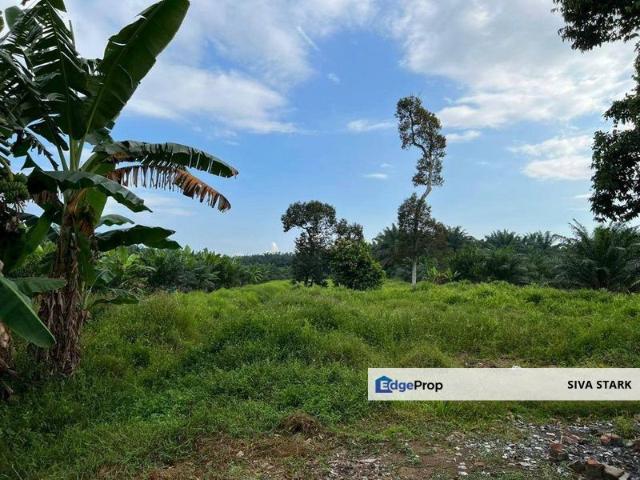 Shop for sale in Muar, Johor