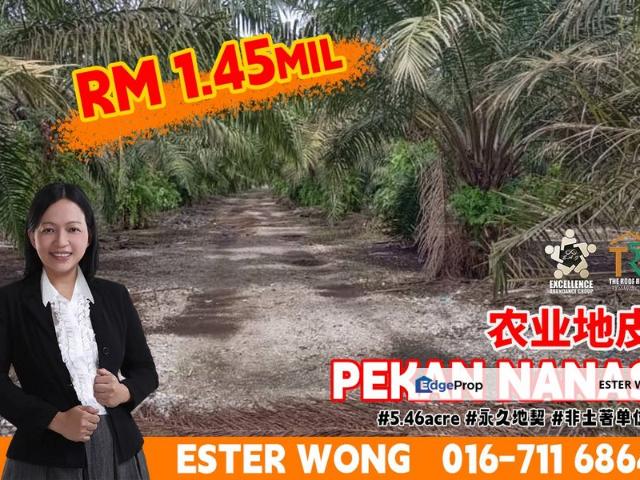 Shop for sale in Pekan Nanas, Johor