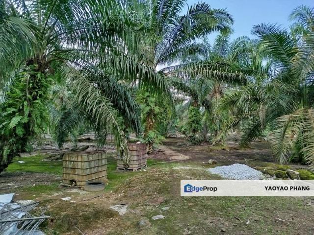 Shop for sale in Pekan Nanas, Johor