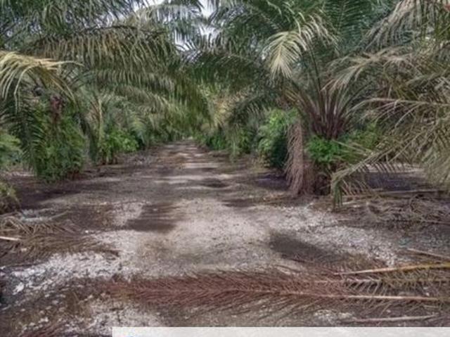 Shop for sale in Pekan Nanas, Johor