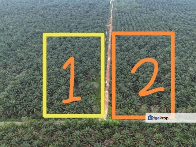 Warehouse for sale in Pekan Nanas, Johor